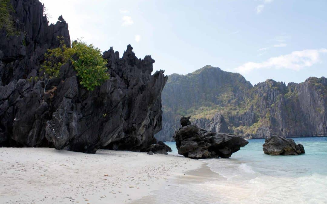 Free Fun Field Trips For Your Students!