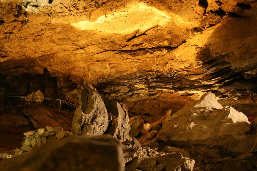 On The Importance of Field Trips: Inner City Students and Nature