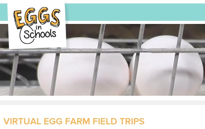 American-Egg-Board-Virtual-Egg-Farm-Field-Trips American-Egg-Board-Virtual-Egg-Farm-Field-Trips