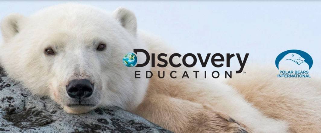 Discovery-Education-Polar-Bears-International Discovery-Education-Polar-Bears-International