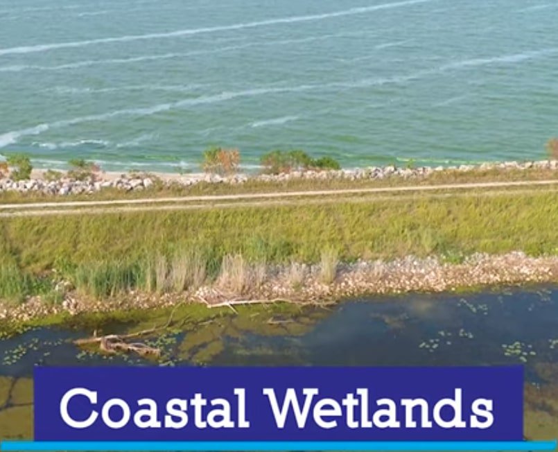 Great-Lakes-Coastal-Wetlands Great-Lakes-Coastal-Wetlands