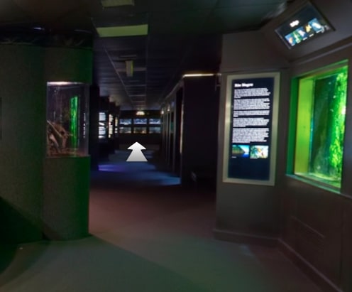 National-Aquarium-Virtual-Tour National-Aquarium-Virtual-Tour