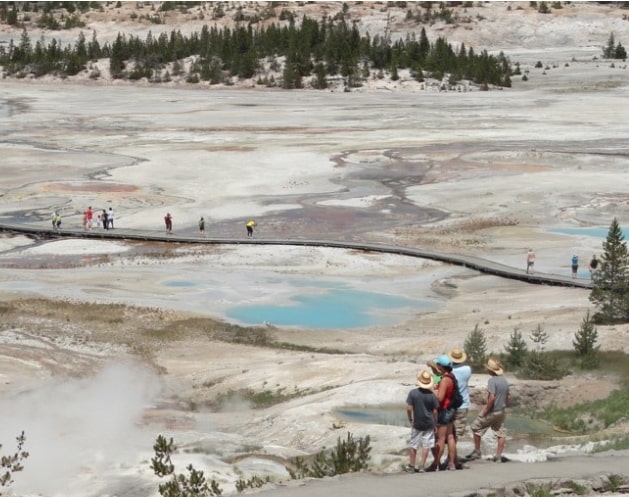 Porcelain-Basin-Overview-Northern-Part-of-Norris-Geyser-Basin Porcelain-Basin-Overview-Northern-Part-of-Norris-Geyser-Basin