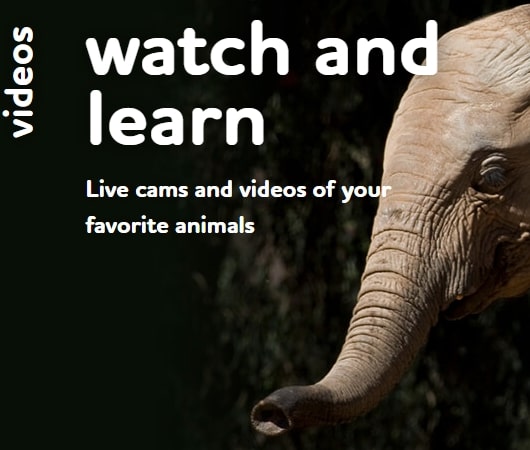 San-Diego-Live-Cameras San-Diego-Live-Cameras