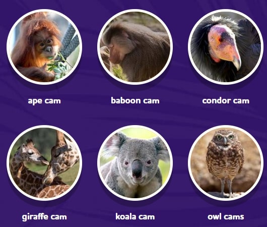 San-Diego-Virtual-Tour San-Diego-Virtual-Tour