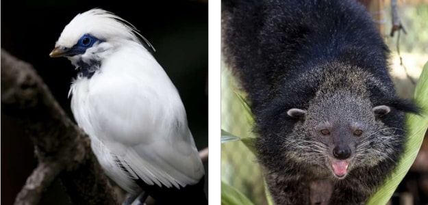 Animals-Atlanta-Zoo Animals-Atlanta-Zoo