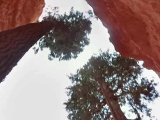 Bryce-Canyon-Google-Arts-and-Culture-Virtual-Tour-Lookup Bryce-Canyon-Google-Arts-and-Culture-Virtual-Tour-Lookup