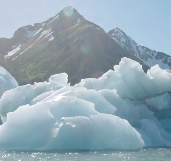 Kenai-Fjords-Virtual-Tour-Goodle-Arts-and-Culture Kenai-Fjords-Virtual-Tour-Goodle-Arts-and-Culture