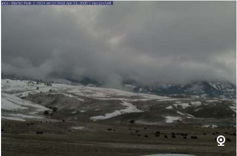 North-Entrance-Electric-Peak-Webcam North-Entrance-Electric-Peak-Webcam