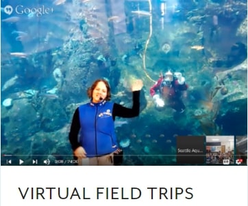 Seattle-Aquarium-Virtual-Field-Trips Seattle-Aquarium-Virtual-Field-Trips