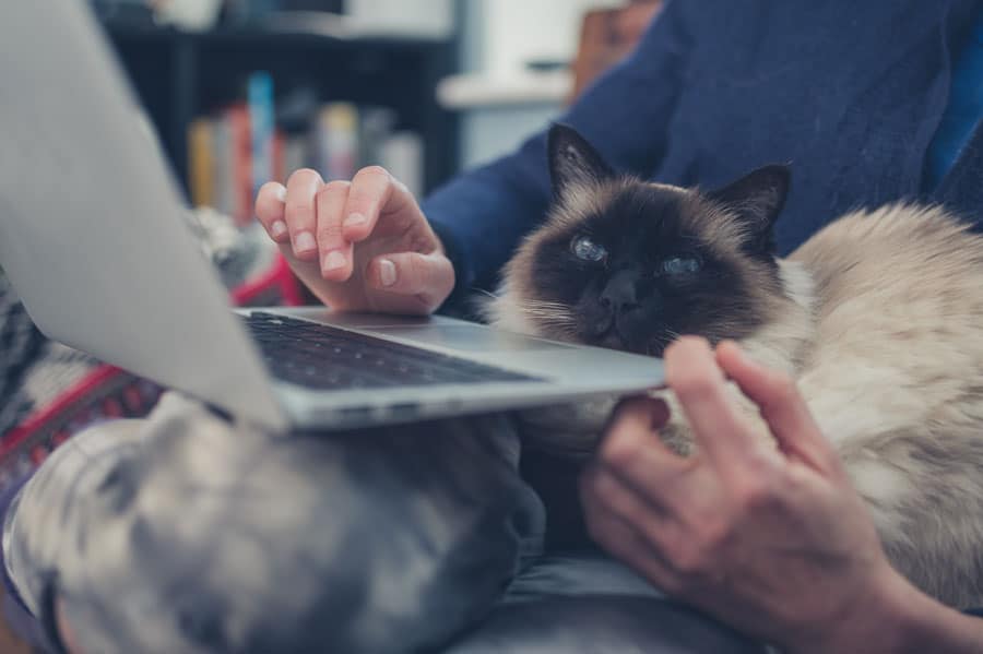 3 Quick Tips on Navigating Through Distance Learning – No Free School Permission Slips Needed!