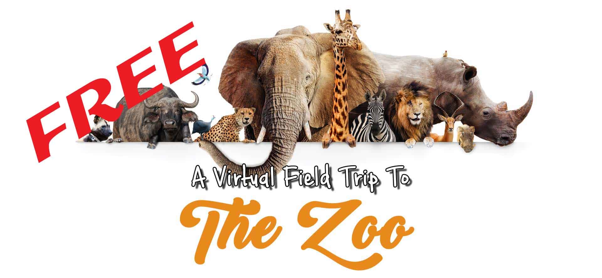 free virtual field trip to the zoo