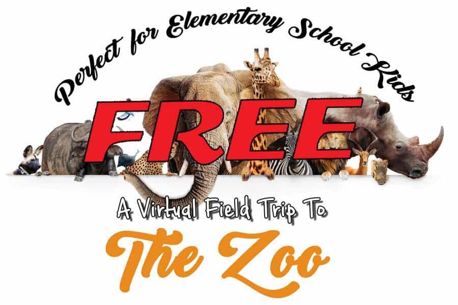 A FREE Virtual Field Trip To The Zoo