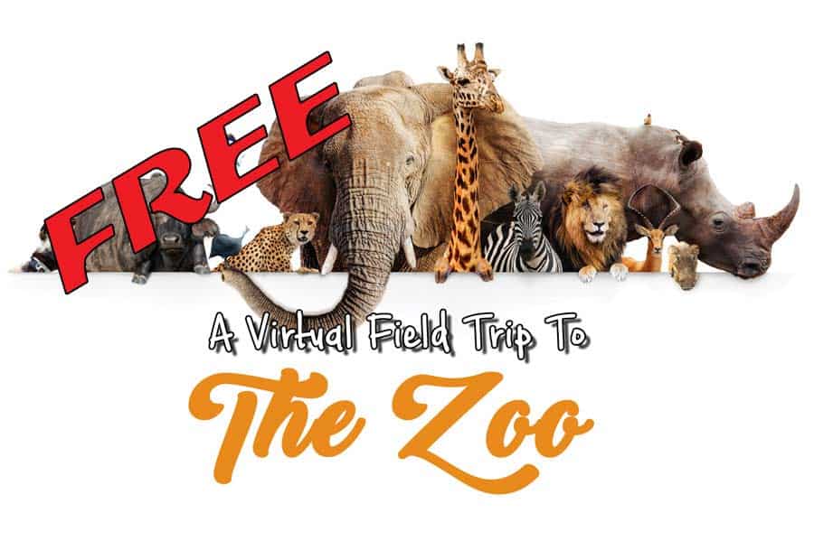 free virtual field trip to the zoo