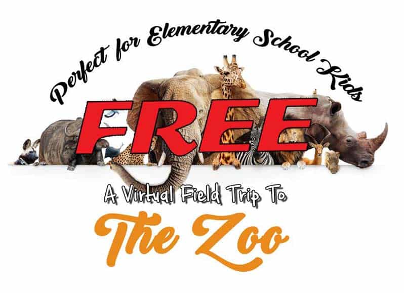 free virtual field trip to the zoo free virtual field trip to the zoo