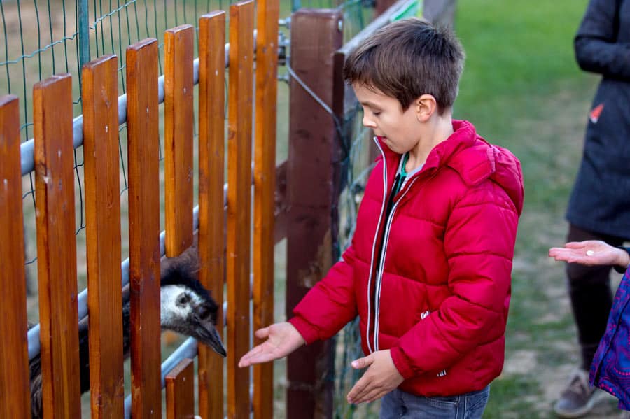 5 Free Field Trips for the Classroom