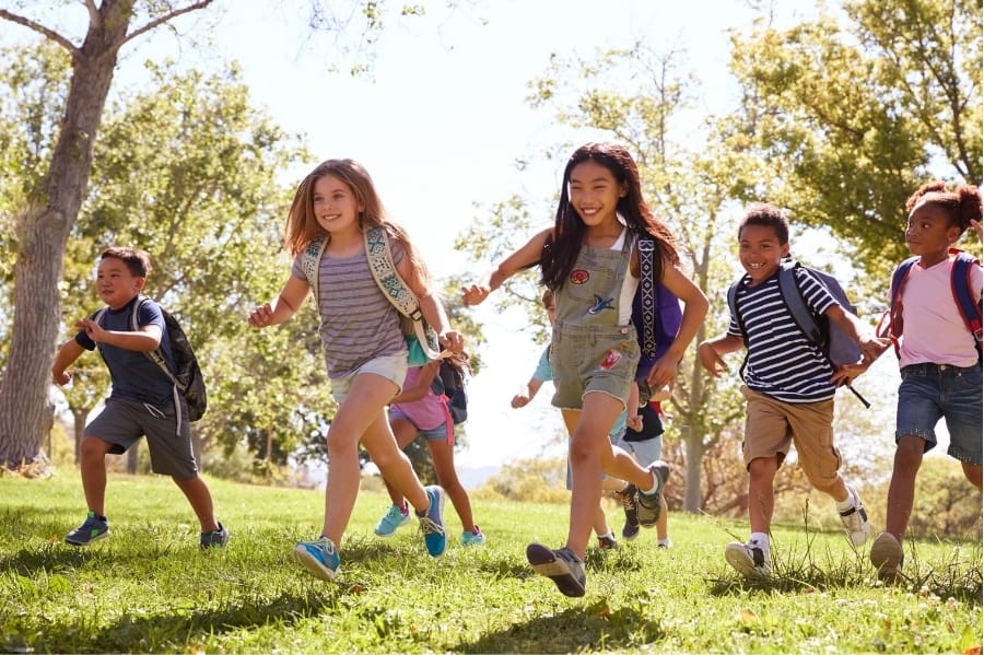 10 Essentials When Planning a Field Trip for Kids