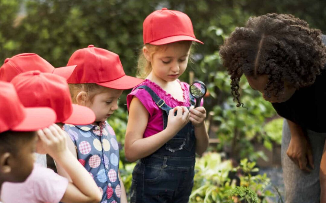 Why Incorporate Field Trips into Your Curriculum?