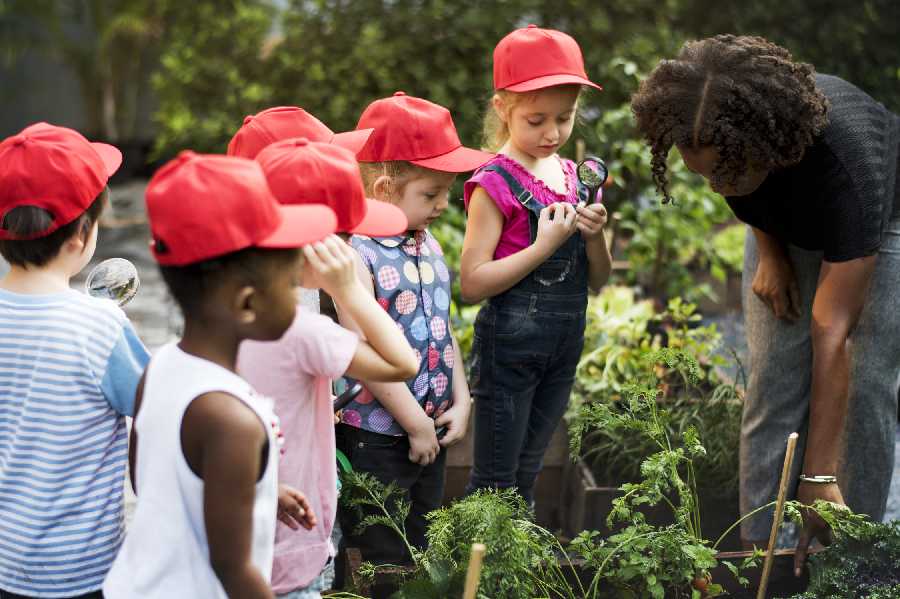 Field Trip Snacks Square