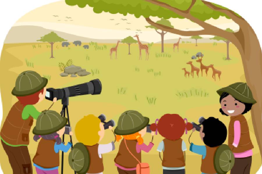 Field Trip Snacks Square