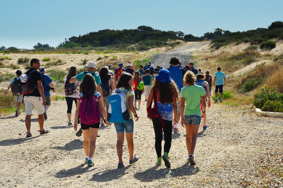 Field Trip Snacks Square
