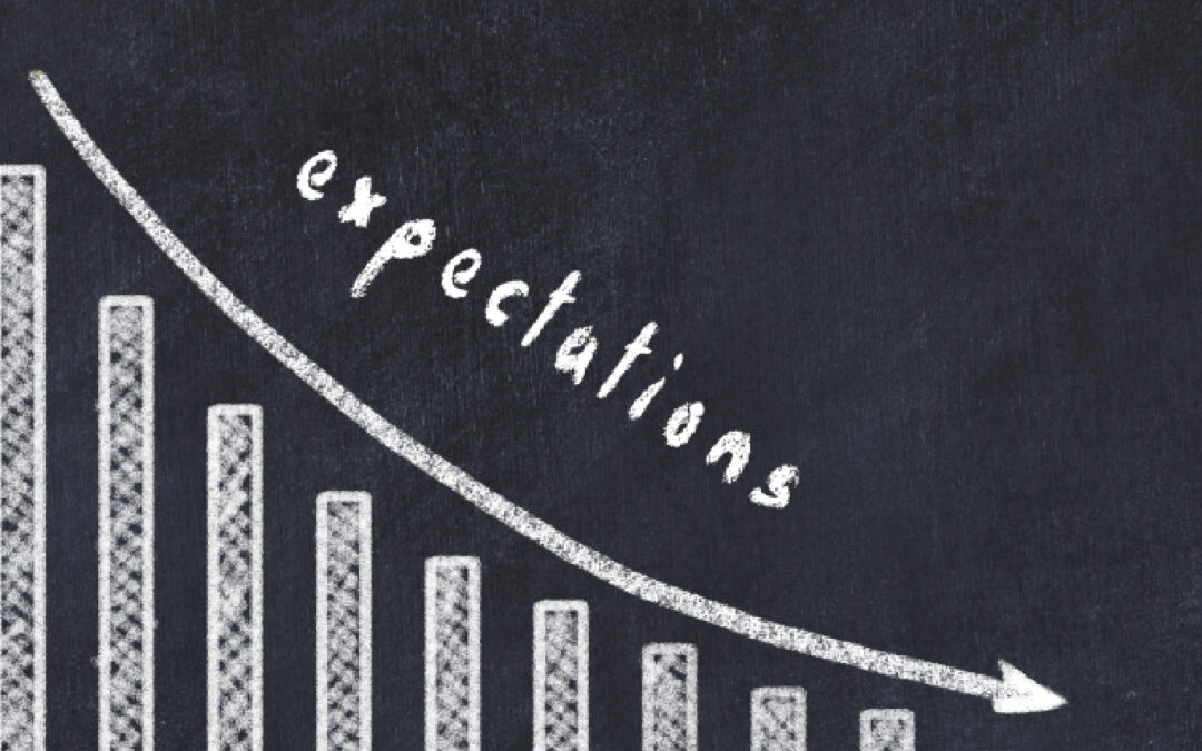 Field Trip Report Expectations