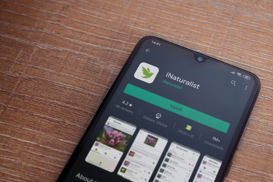 Field Trip Snacks Square