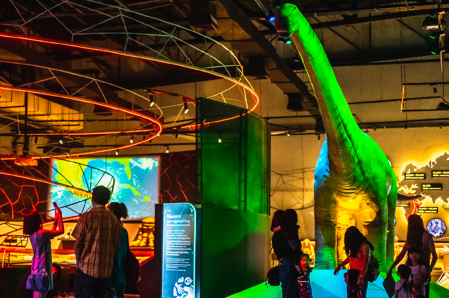 Field Trip Snacks Square