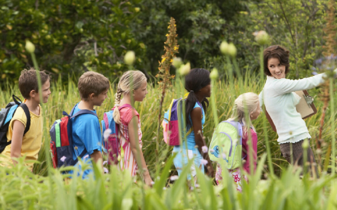 Field Trip Forms – Field Trip