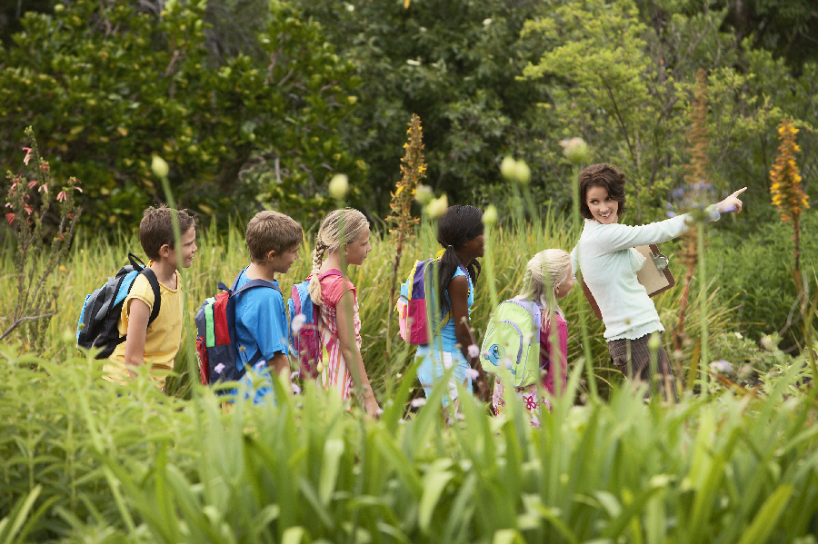 Field Trip Snacks Square
