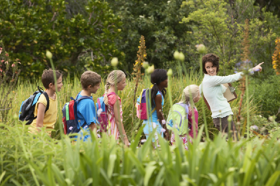 Field Trip Snacks Square