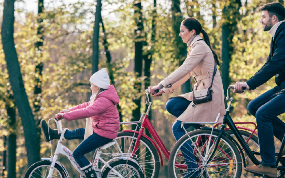 Transportation Permission Slip