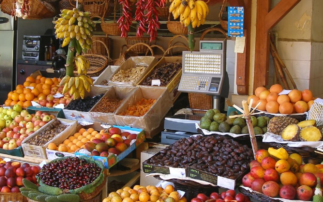 Five Easy and Free Field Trip Ideas