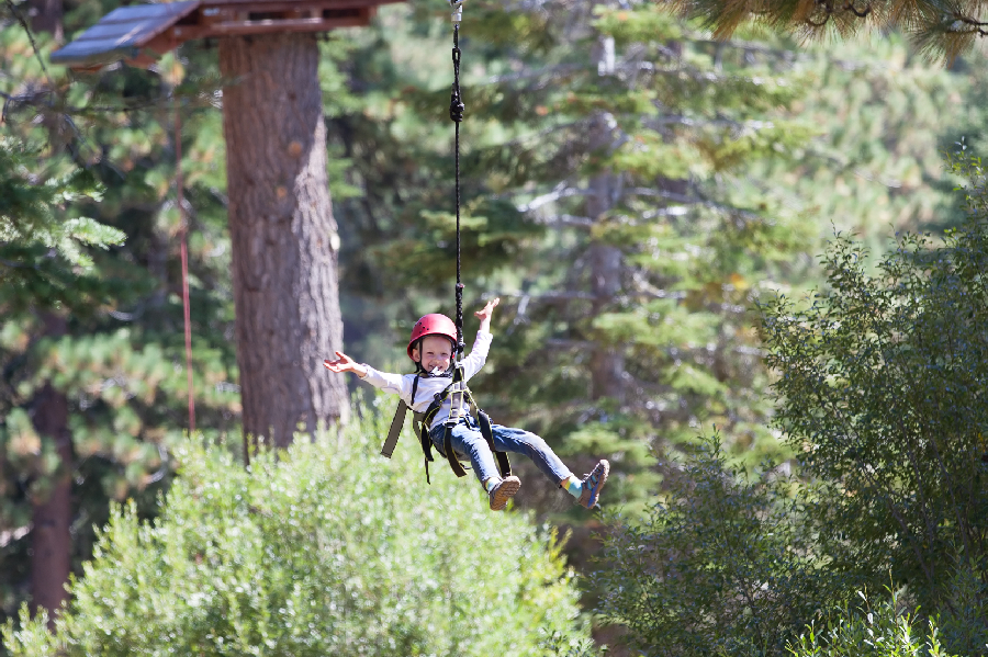 Field Trip Snacks Square