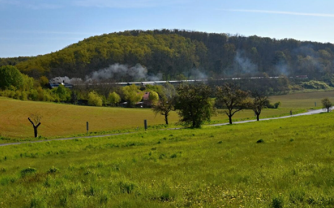 Permission Slip Signed for the Field Trip Substitute