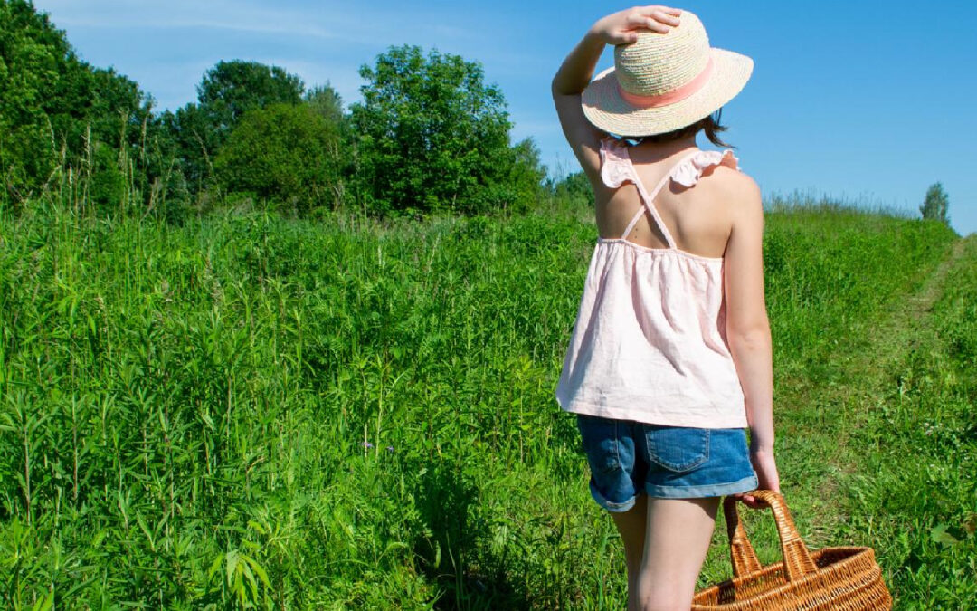 Ten tips for creating exceptional field trip permission slips