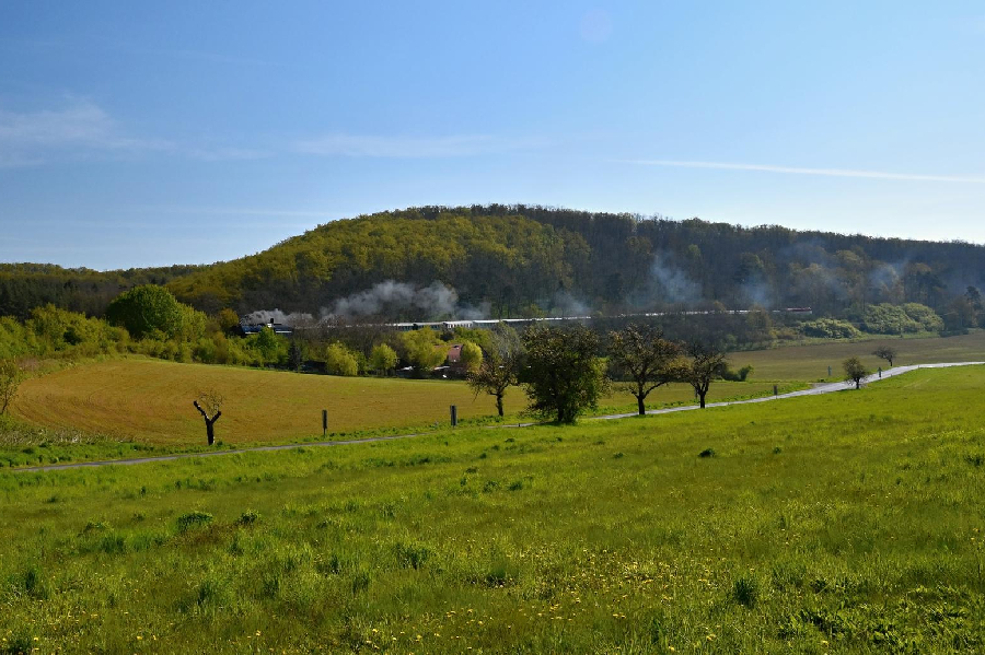 Field Trip Snacks Square