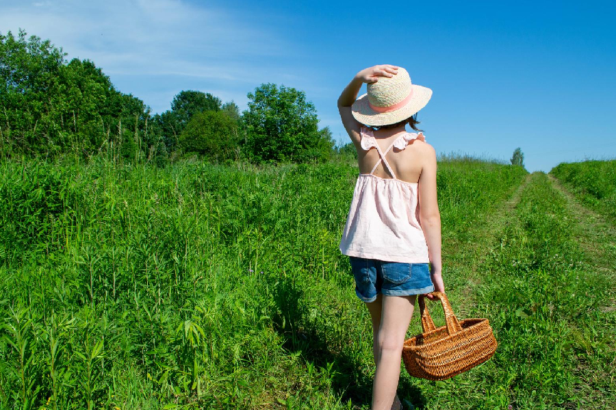 Field Trip Snacks Square