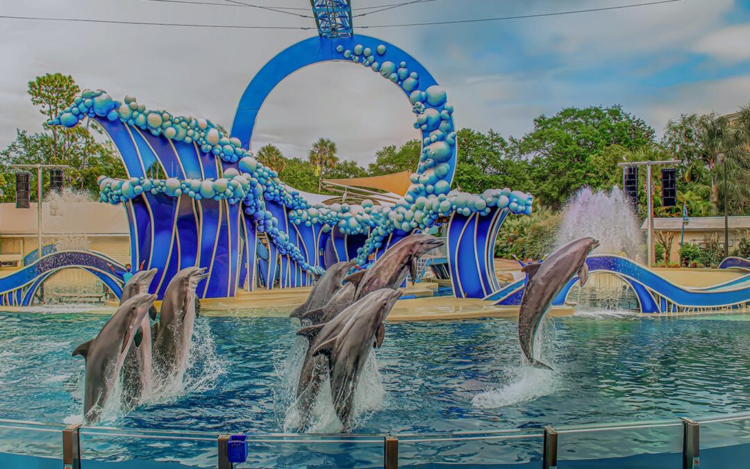 5 Wonders of Walt Disney World: The Kiddo’s Dream Tour