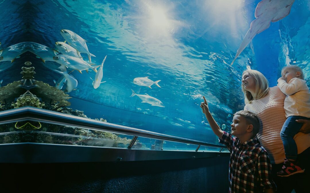 10 Monterey Bay Aquarium School Trips Where Parent Consent Is Essential