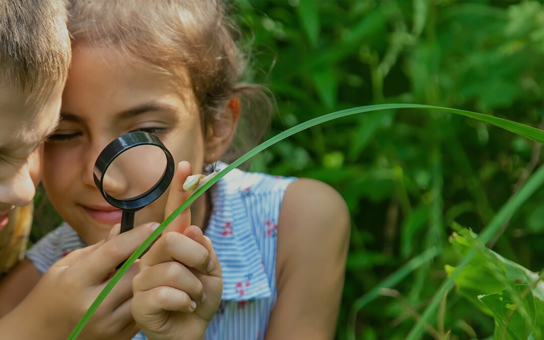 5 Smart Tips for Easy Educational Tours with Mobile Permissions